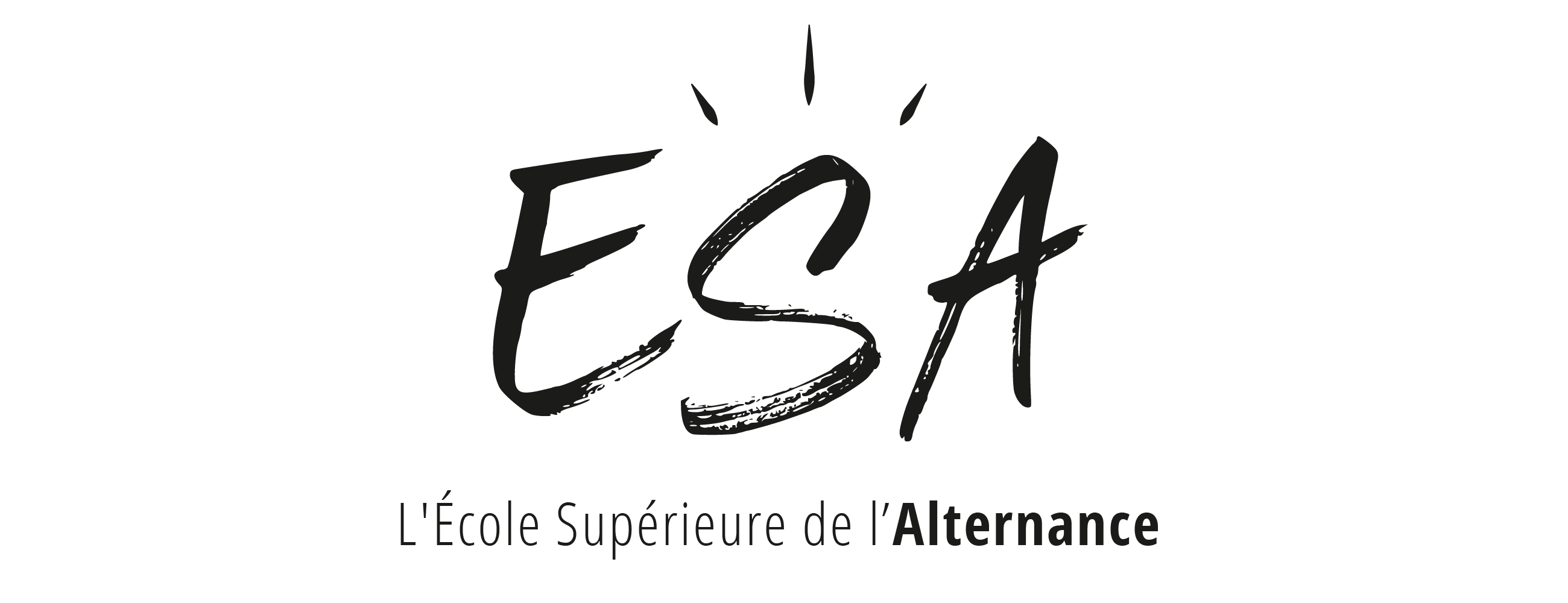 Formations au centre de formation l’ESA à la Roche-sur-Yon